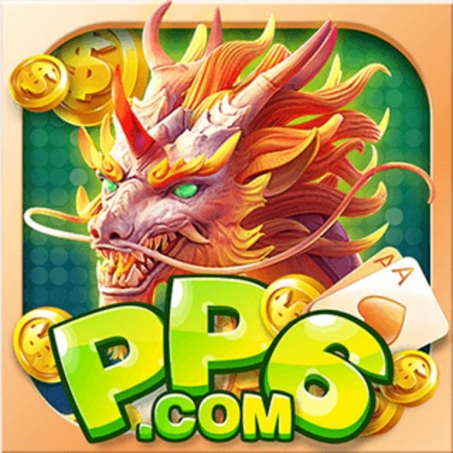 PP6